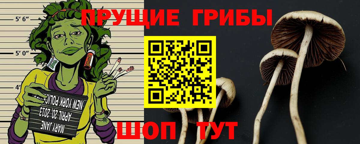 Галлюциногенные грибы ЛСД  Псилоцибиновые грибы Magic Shrooms  Вход с VPN  Воскресенск 
