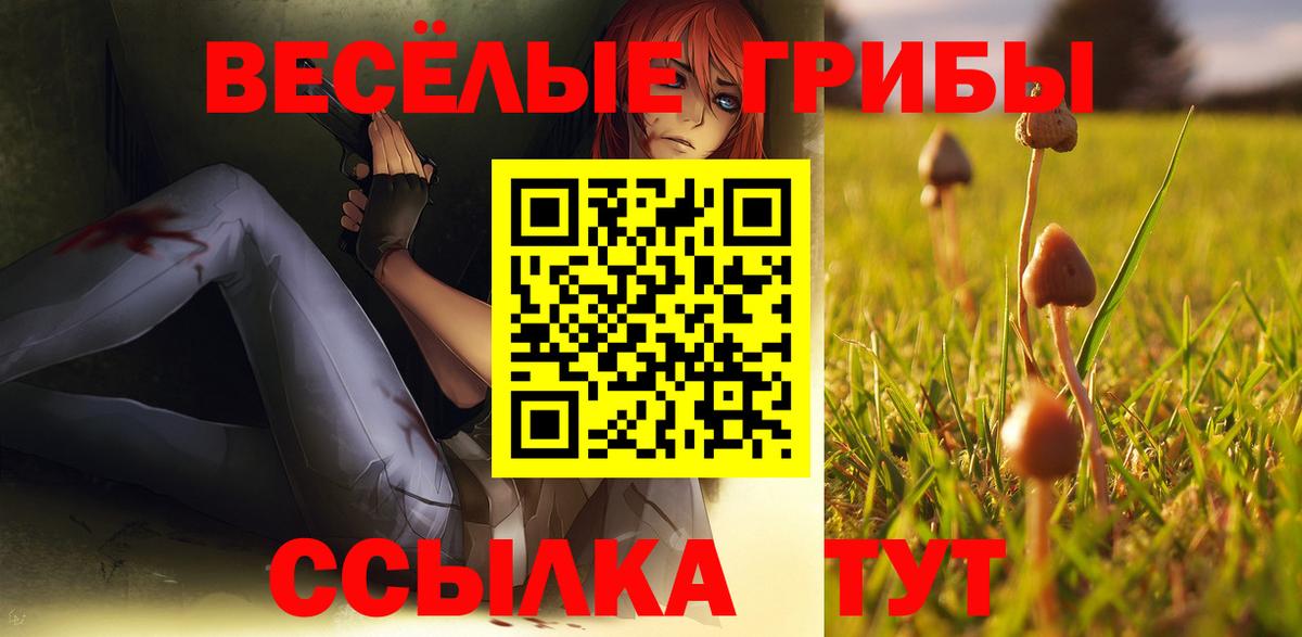 Галлюциногенные грибы Psilocybine cubensis Воскресенск
